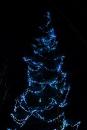Rozsvícení vánočního stromu v Kačici [nové okno]