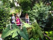 Exkurze do Botanické zahrady Přírodovědecké fakulty  UK  v Praze [nové okno]
