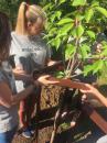 Vystupující žáci zasadili strom na školní zahradě [nové okno]